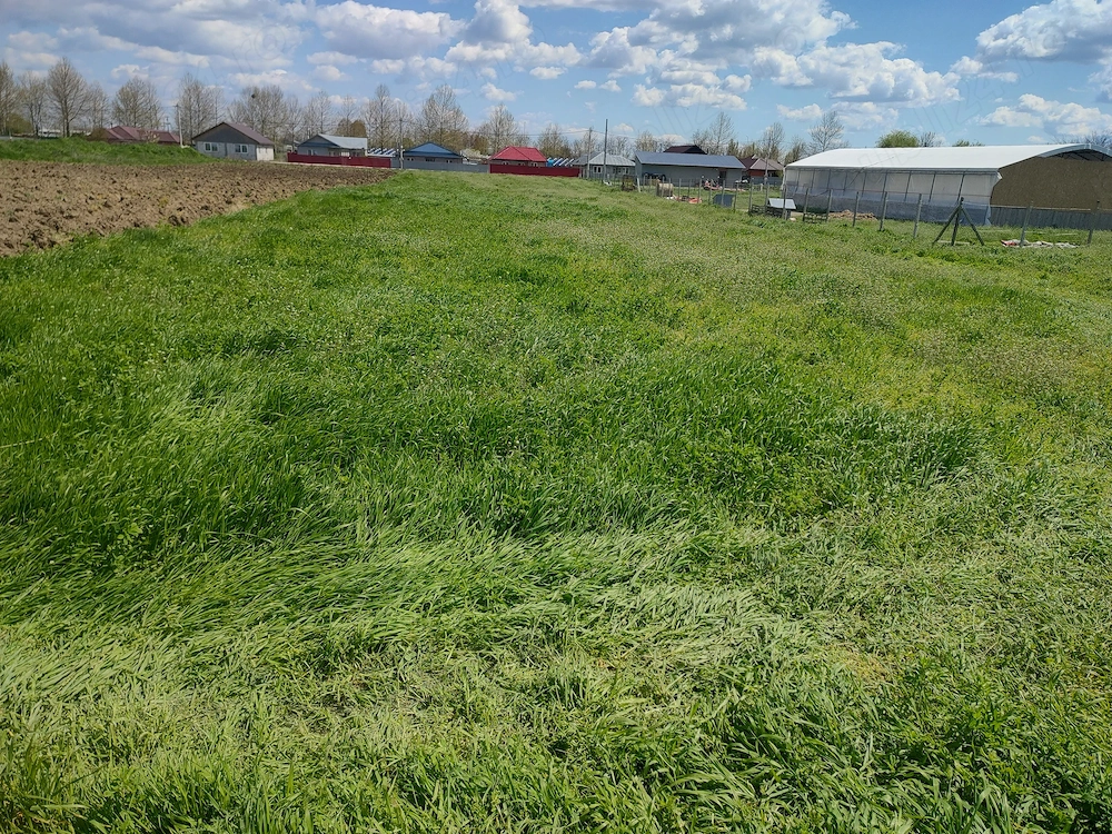 Teren comuna Gropeni