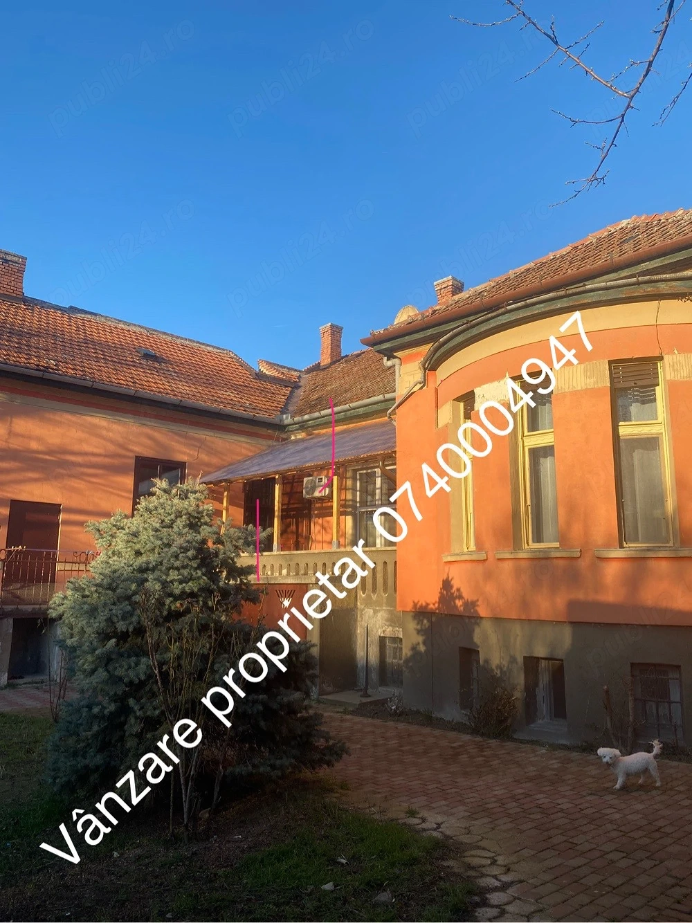  Vilă ultracentrală Arad Teatru 5 camere, teren generos, stil clasic (old money)