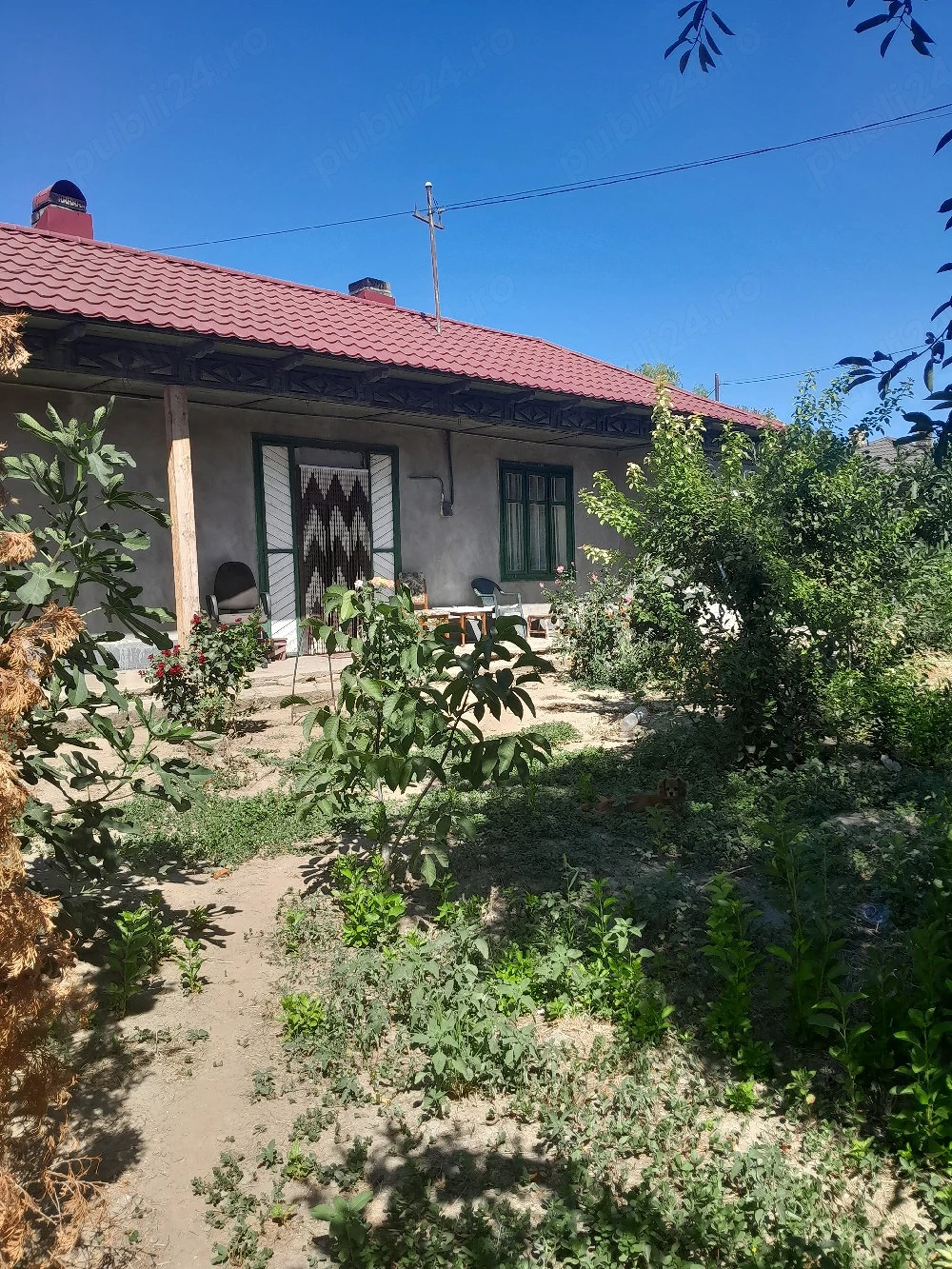 vind casa la tara