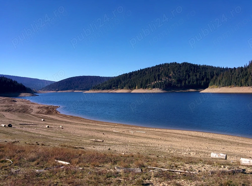 Vând teren extravilan împădurit 5000 mp lângă lacul Belis