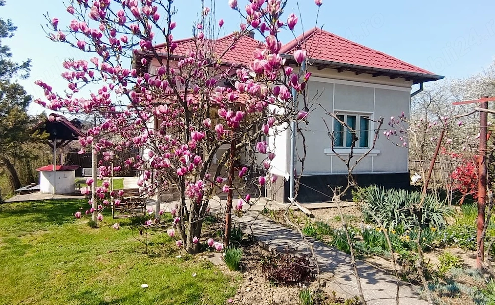 Casa de vanzare in Baiculesti,judetul Arges