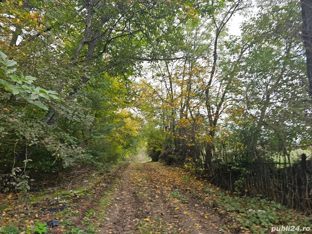 Teren SNAGOV Gruiu 3 euro mp