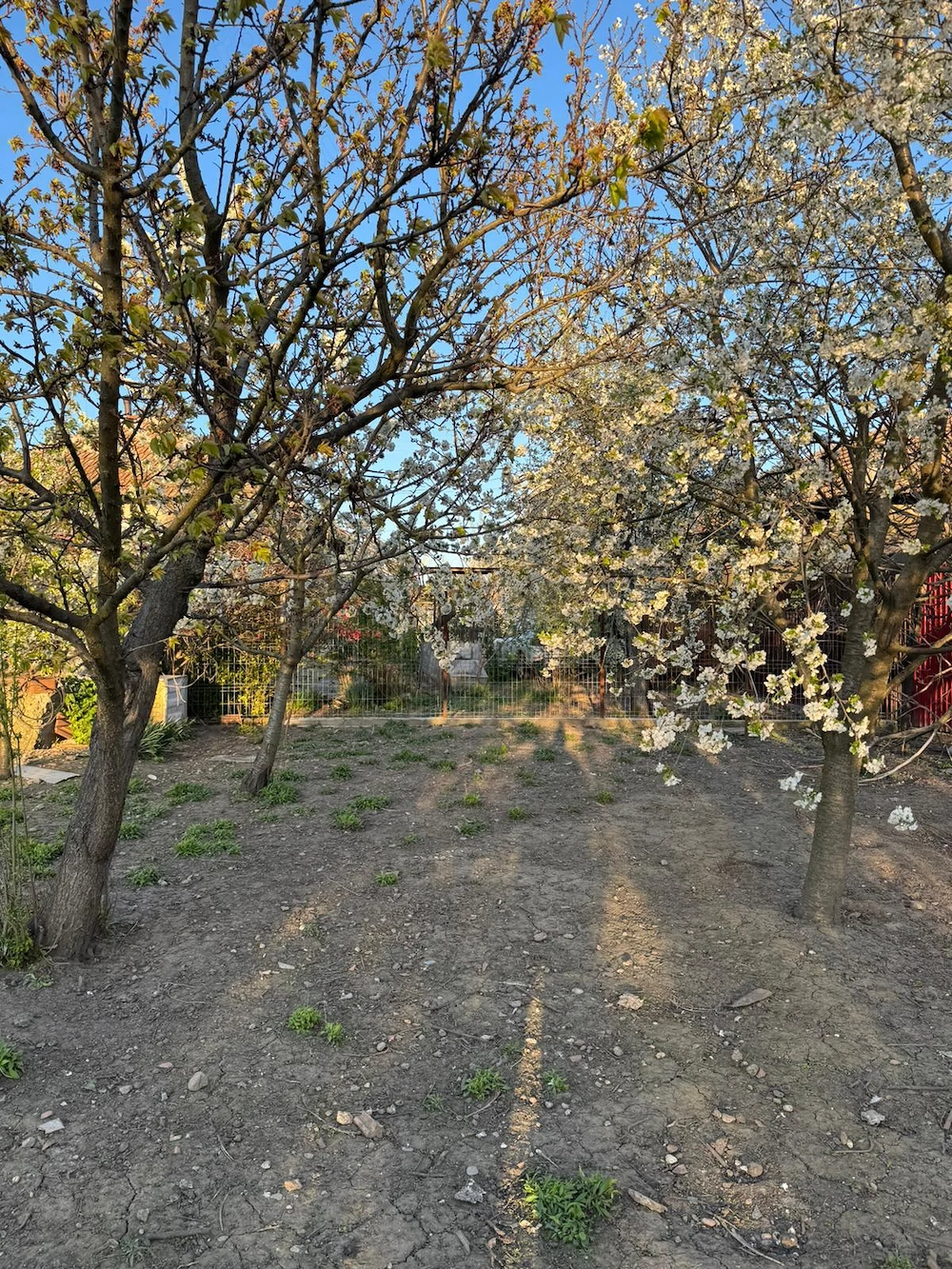 Vand casa cu gradina in Vanju-Mare jud. MH, situata intr-o zona buna si linistita a orasului.