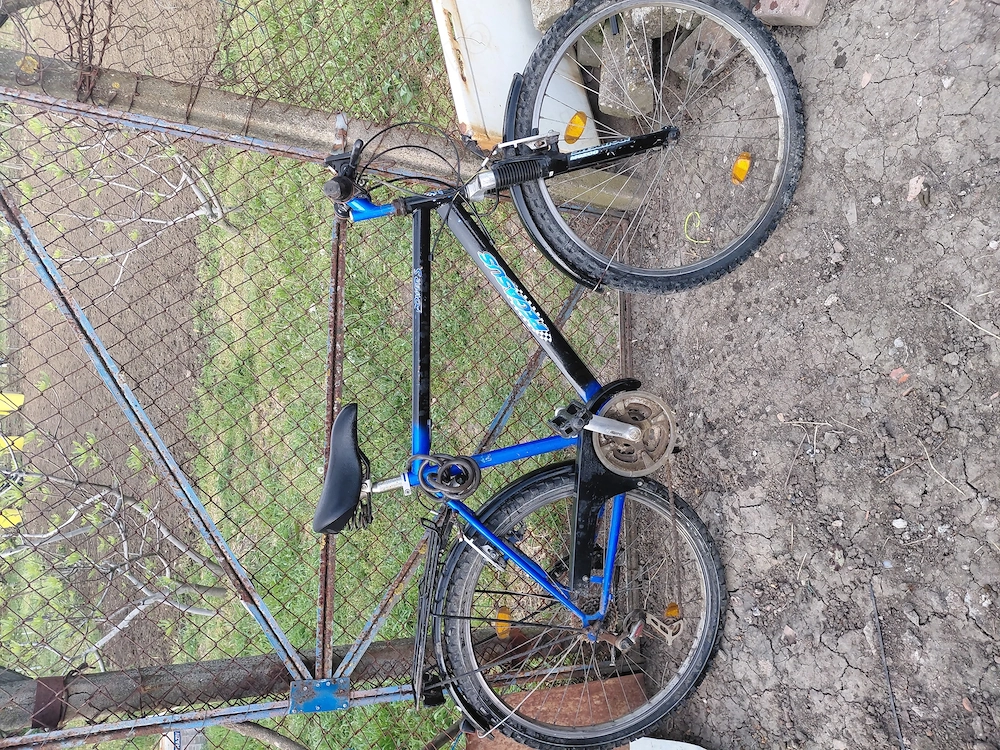 Bicicleta Pegasus