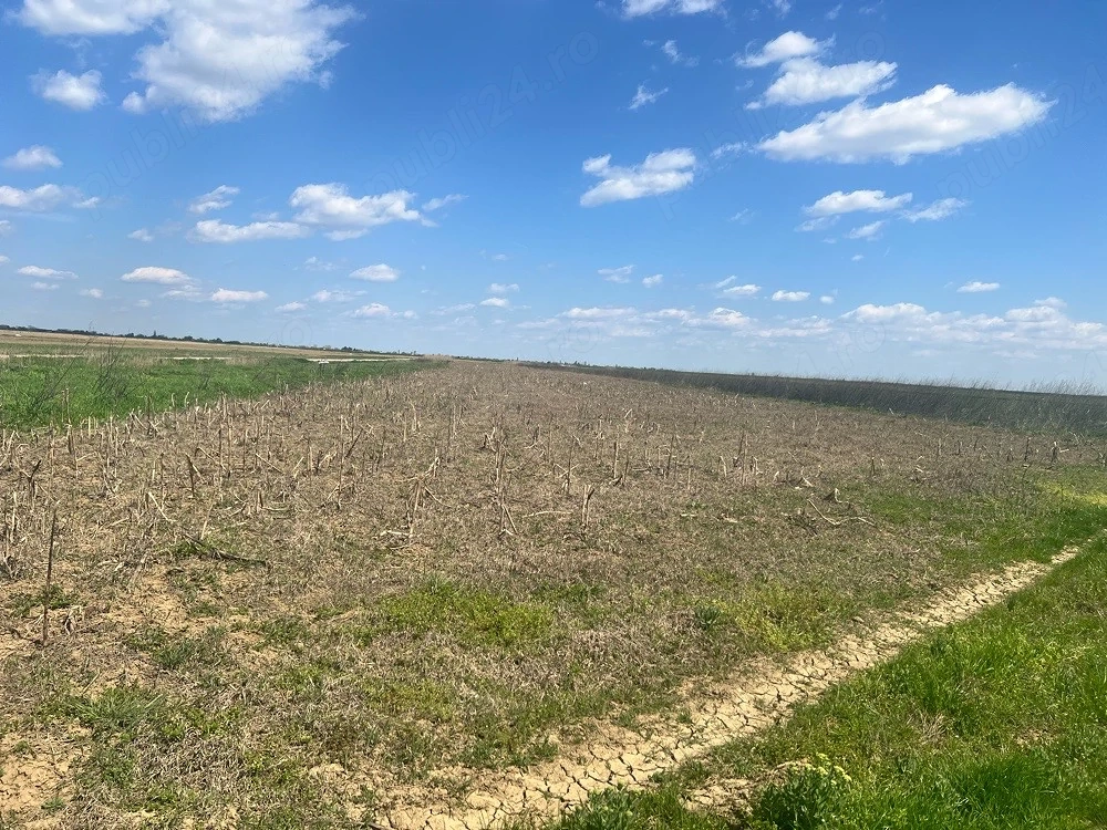 Vând teren extravilan   Slobozia Moară, Dâmbovița