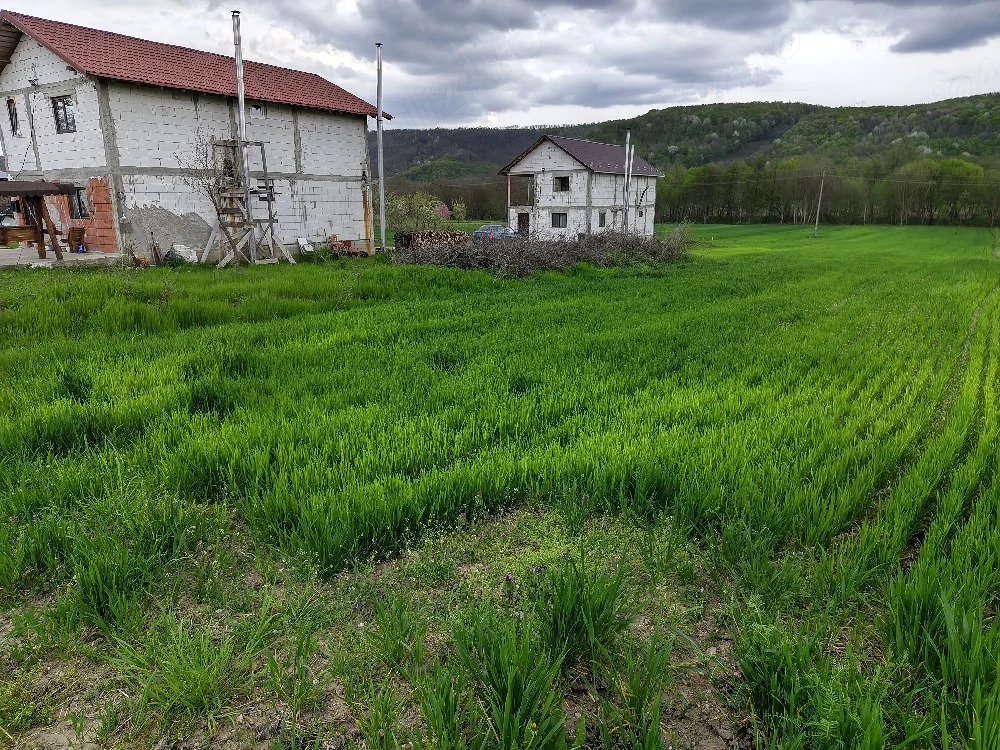 vând teren pentru case 