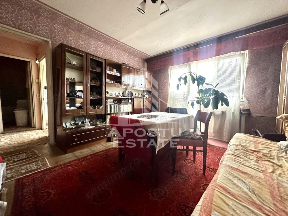Apartament cu 2 camere de vanzare, etaj 3, zona Dambovita, Timisoara