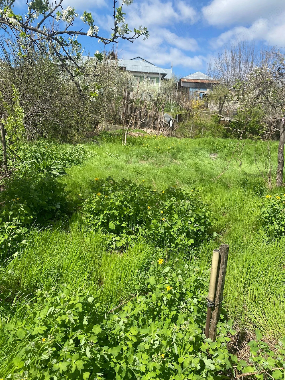 Teren de vanzare Barlad foarte bun