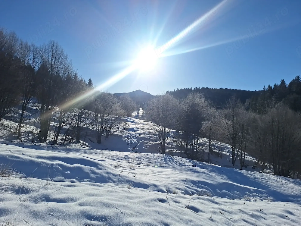 Teren de vanzare Valea Zizinului jud. Brasov