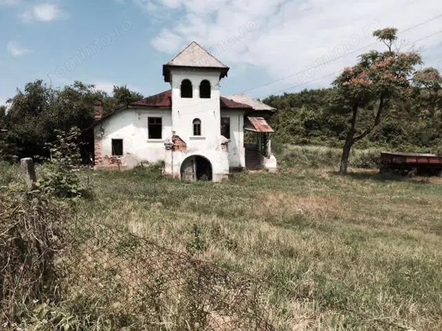 Conac cu vita de vie in Calinesti