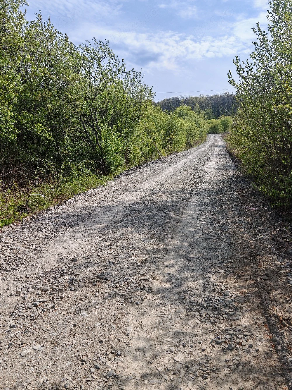 Oportunitate de investiție 