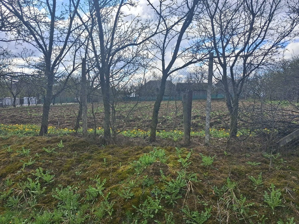 Vand teren intravilan 2800 m2 - Sat Botesti - comuna Horodniceni - jud Suceava.
