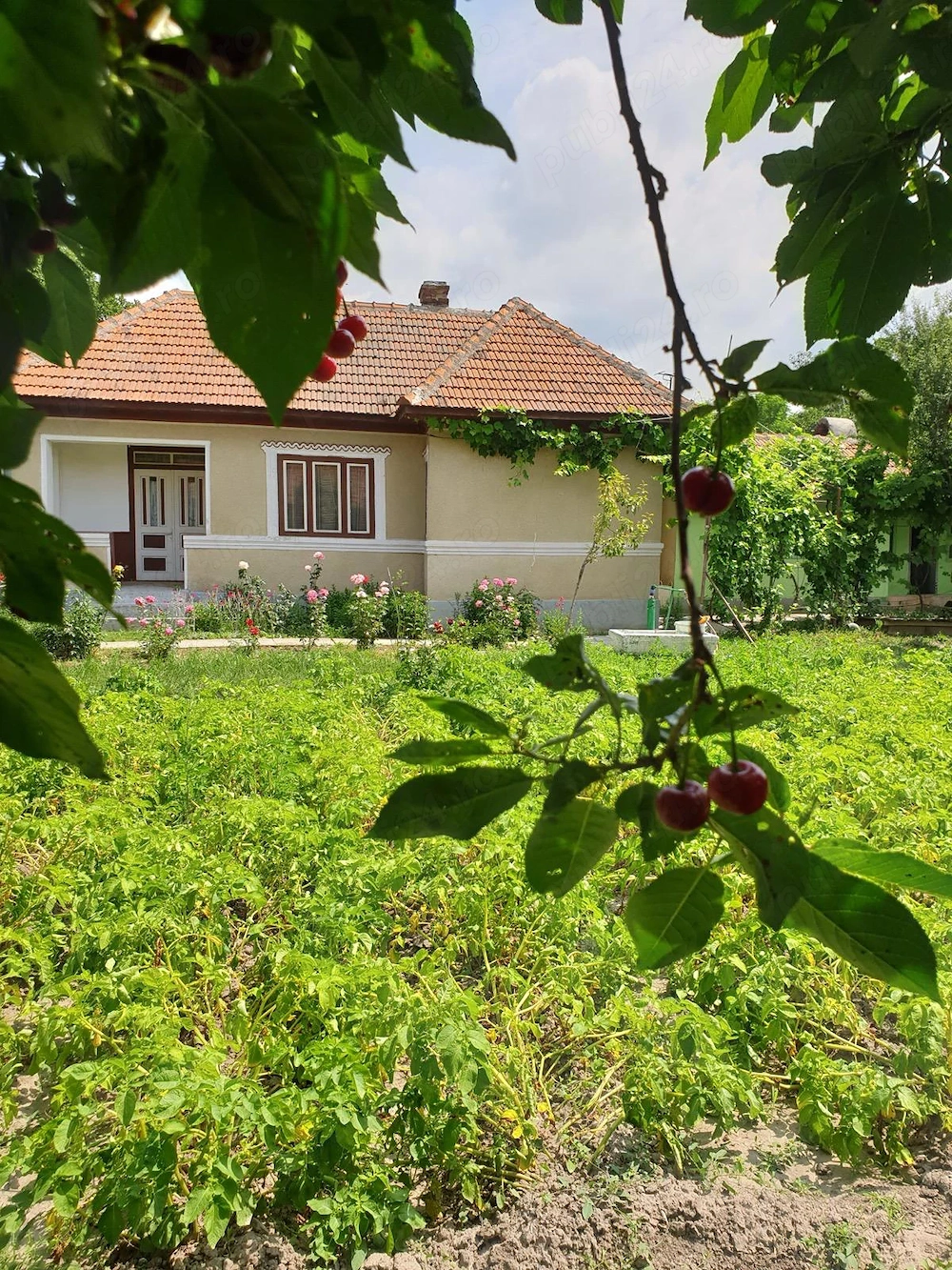Vânzare casă Adâncata, IL, gata de locuit