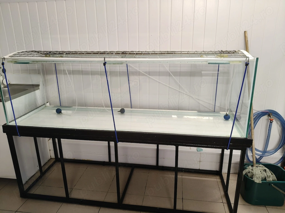 vând acvariu 500 litri