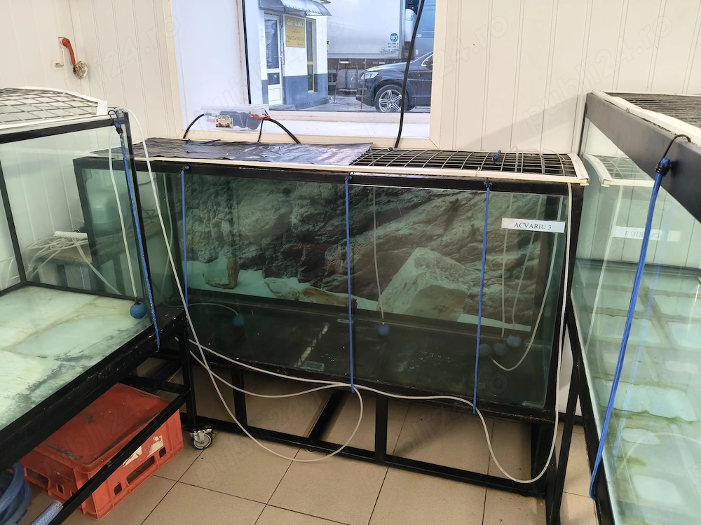 vând acvariu 500 litri