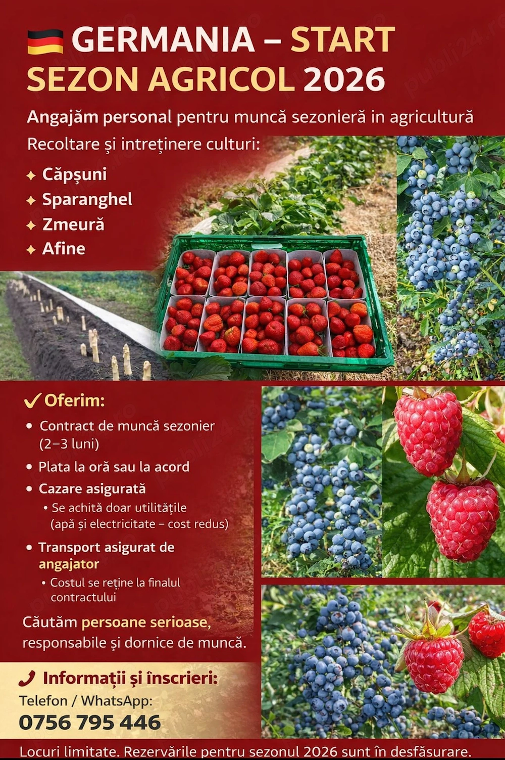 Locuri de muncă sezoniere în Germania   Agricultură 2026 