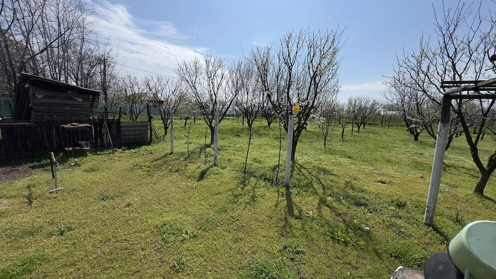 Casa plus teren 3000 mp