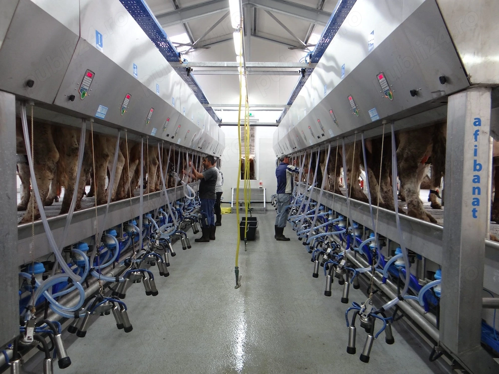 Tehnician echipamente de muls