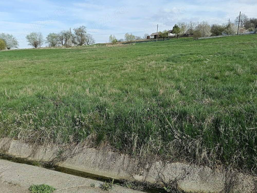 Teren intravilan 20 de ari (sau parcelat în două loturi a câte 10 ari), Stanca, Zvoristea, Suceava
