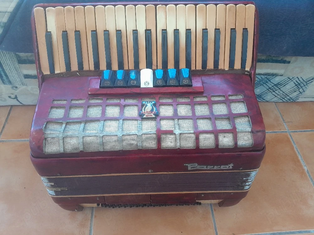 acordeon parrot