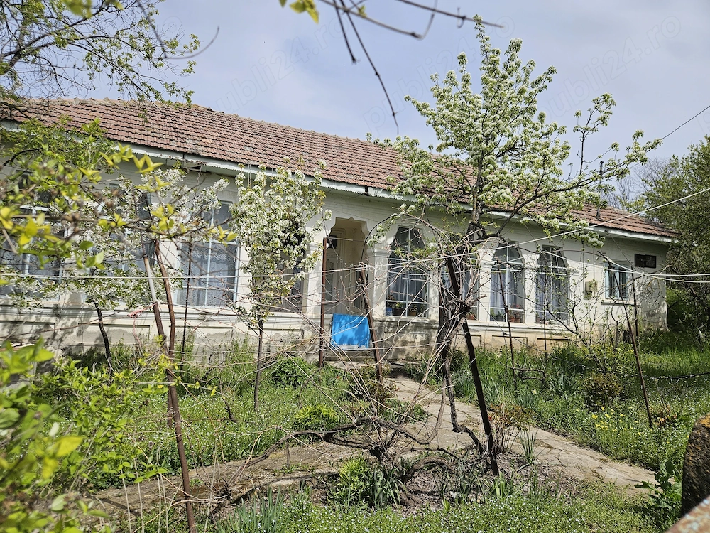 Casă spațioasă cu 2 corpuri de clădire si 1391 mp teren-Comuna Viișoara Teleorman