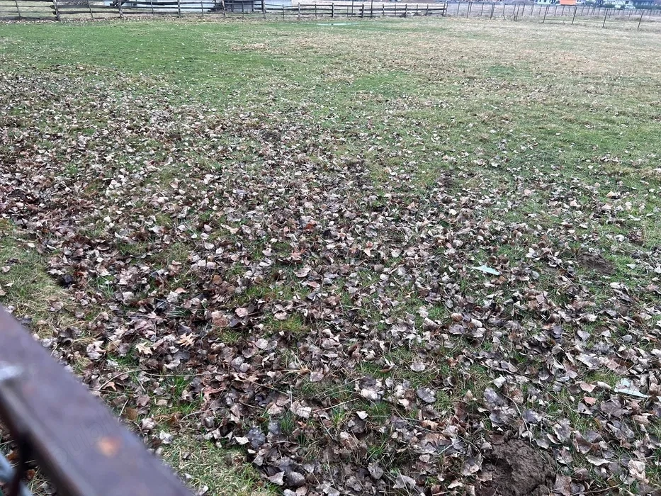 Vand teren intravilan in Horodnic de Sus strada Toplitei 30 ari