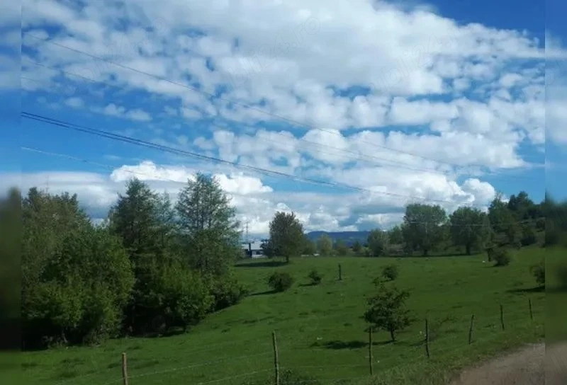 Câmpulung Muscel, Cretisoara, teren intravilan 2946 mp, deschidere 150 ml, 