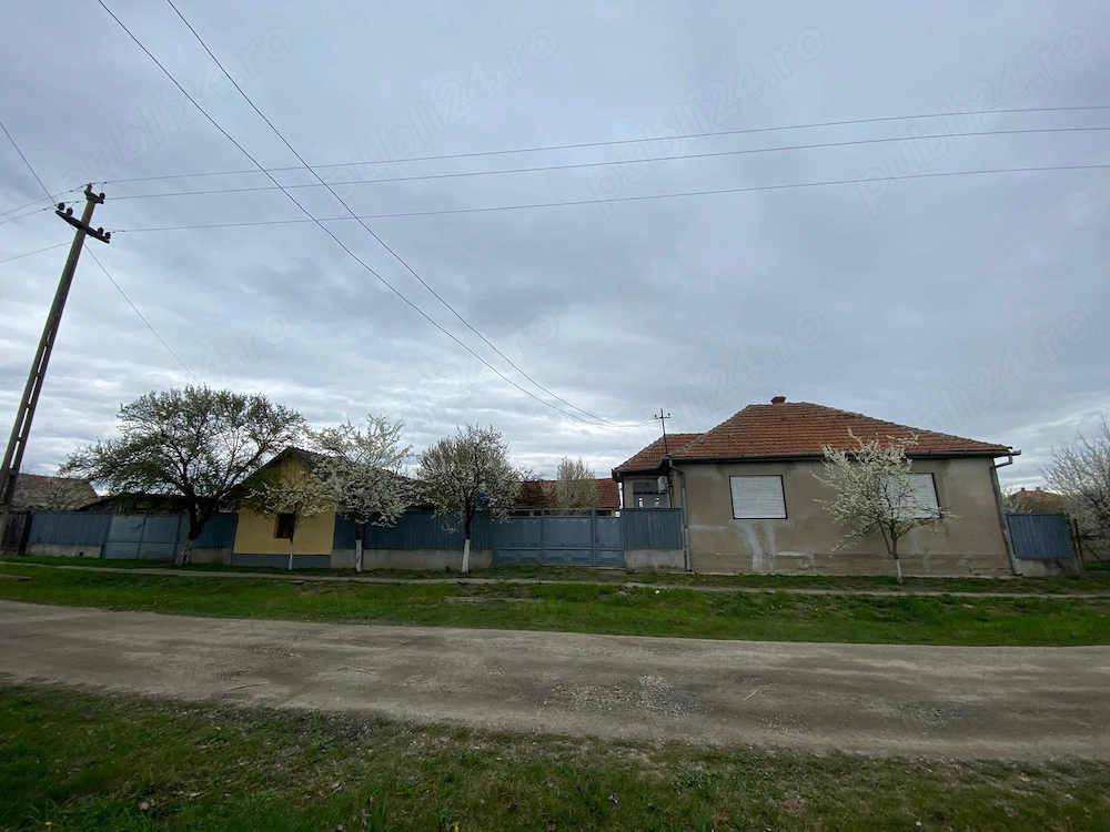 Vind Casa Sintea Mare