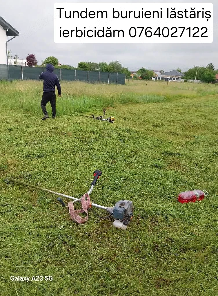Tundem buruieni lăstăriș defrișări ierbicidăm săpăm 