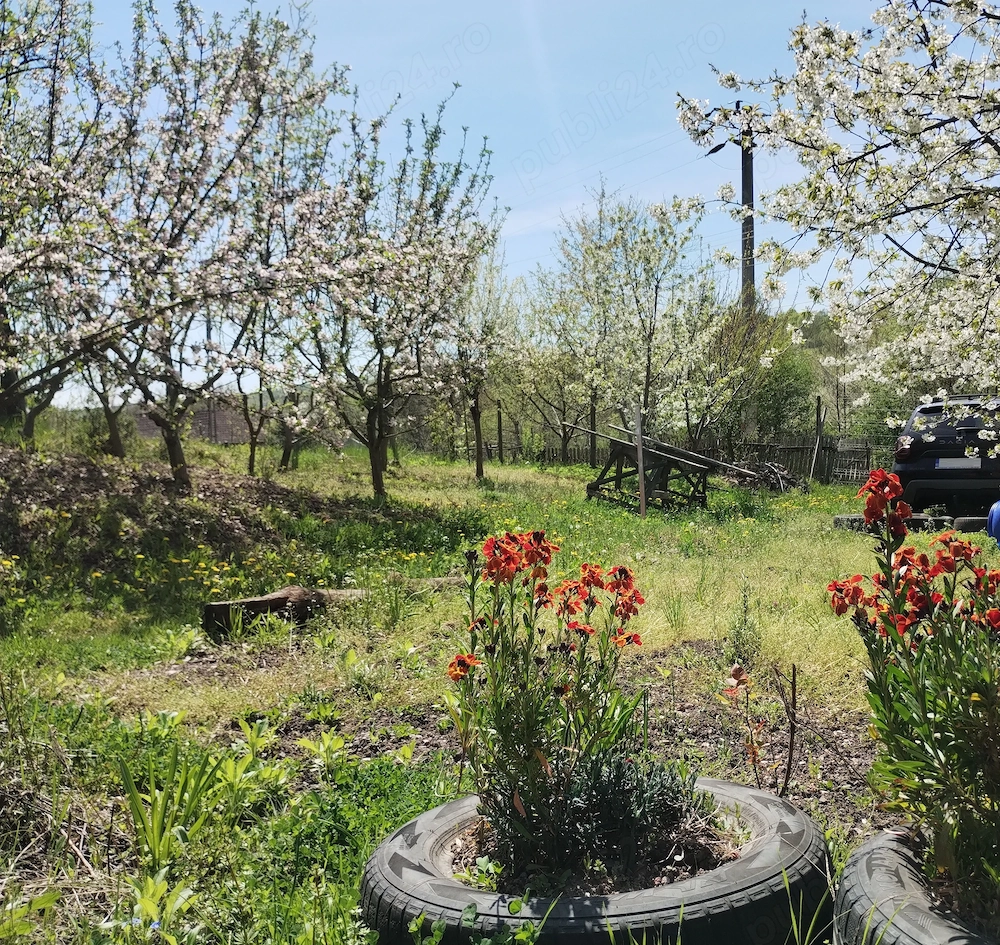 TEREN INTRAVILAN 1400 mp cu cabană și livadă, în Gârbova de Sus (Aiud), zonă liniștită, lângă pârâu