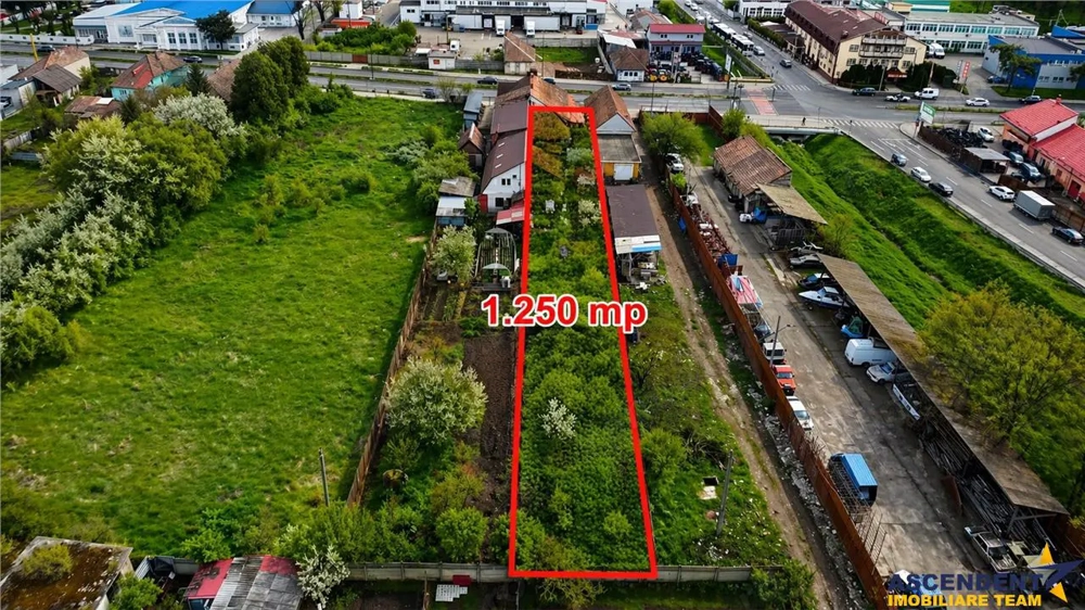 1.250 mp teren intravilan + casa, Gheorge  Doja, recomandat si business  investitie