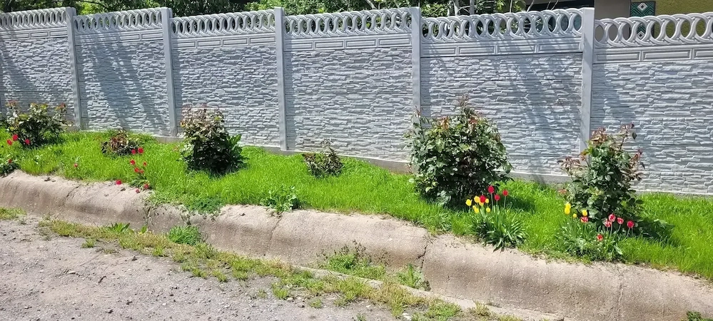 Vând casă la curte