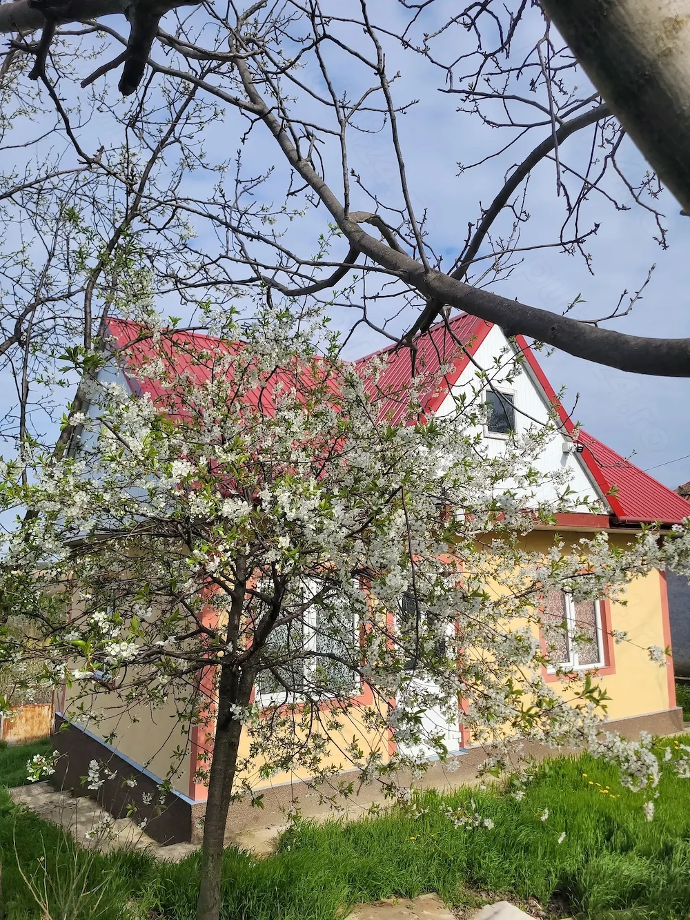 Casa noua 2018 cu 2 camere, asfalt, curent, apa, Schitu Duca, 1154mp teren,acte la zi, 34.500 euro