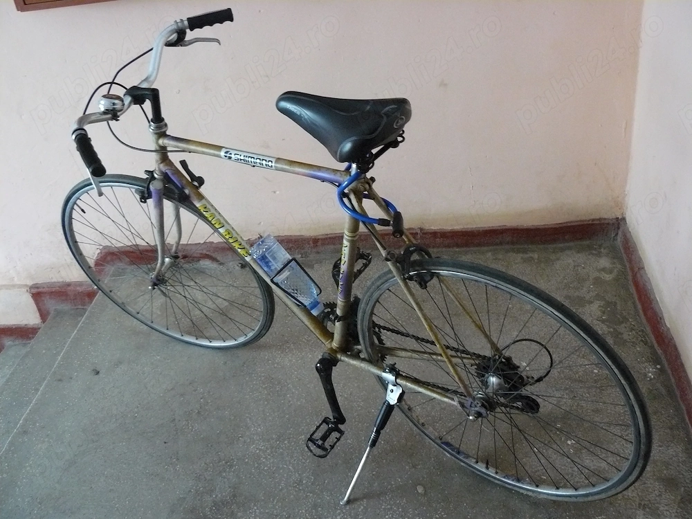 Bicicleta cursiera