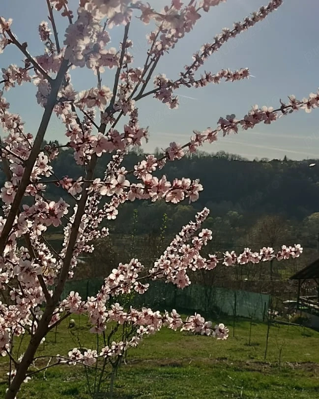 Teren intravilan Breaza Prahova 500m cu utilitati 