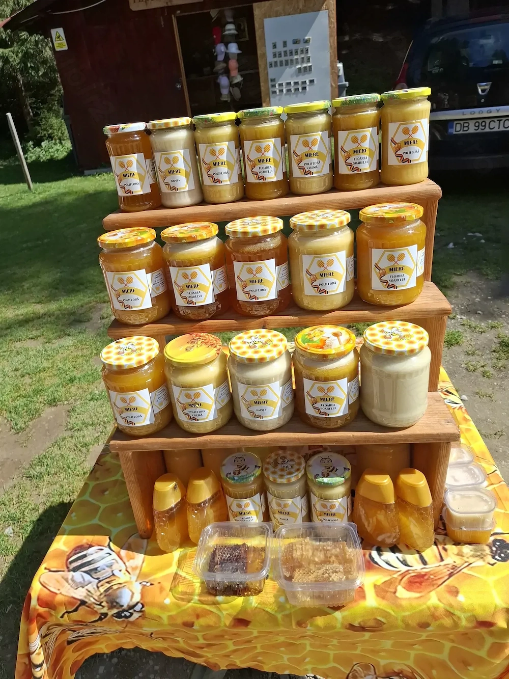 Angajez Vanzatoare Miere De Albina