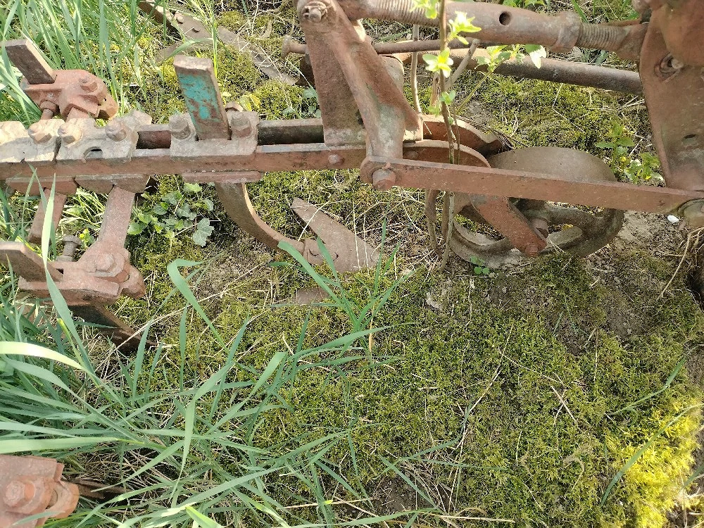 Prasitoare porumb 6 randuri