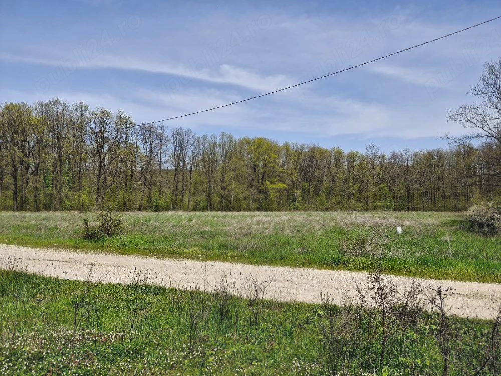 Teren extravilan langa Padurea Saru, direct de la proprietar!