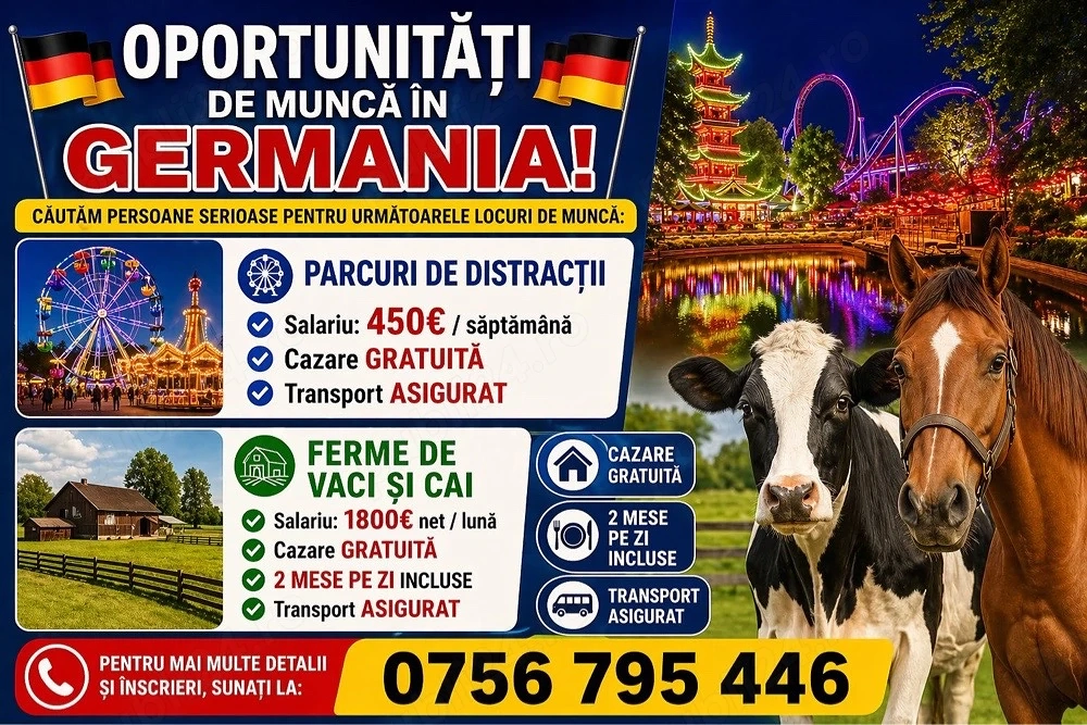 Muncă Germania       plecări rapide