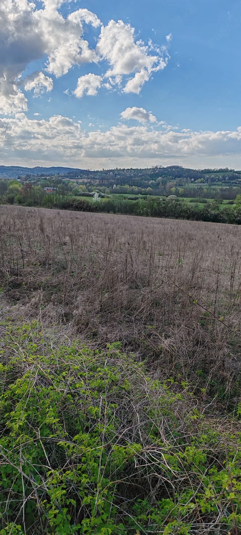Teren intravilan Copalnic Manastur 