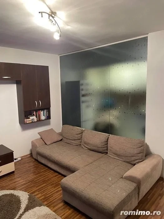 Apartament cu o camera Sagului 