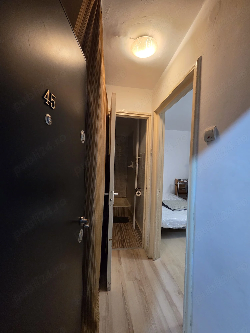 Garsoniera metrou Costin Georgian