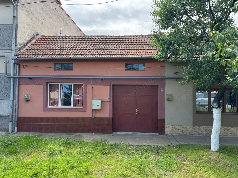 Casa in Lugoj pe Str. Fagetului