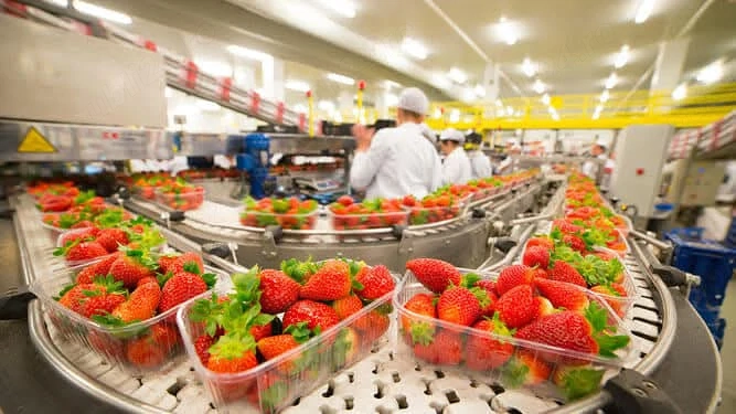 Se caută  2  cupluri serioase la sortat