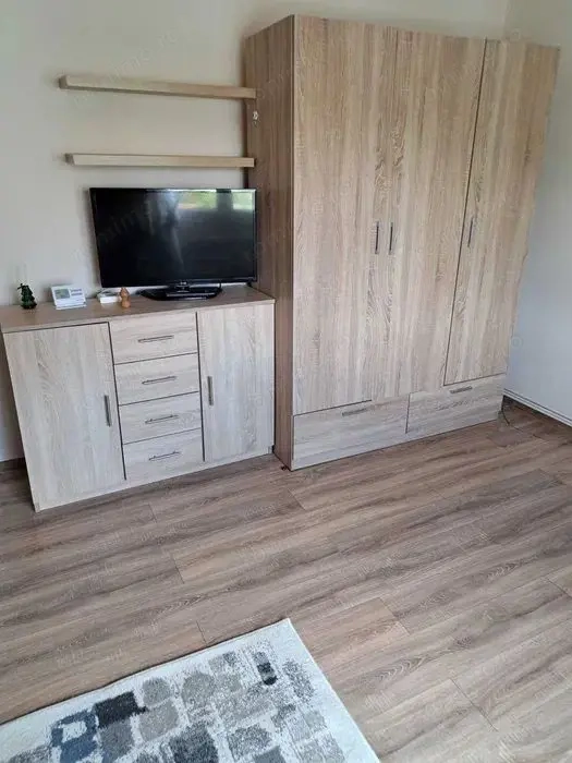 Tudor - Inchiriere apartament 1 camera - Str. Viitorului