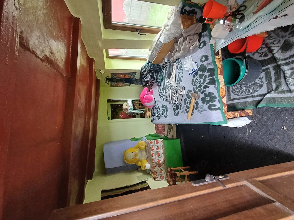 Se vinde casa batranesca , cu livada tanara , vie. Suprafața 1 hectar . 