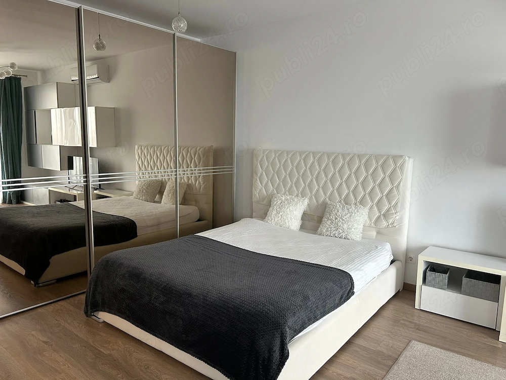 Proprietar - Studio - Bracoveanu - Tineretului