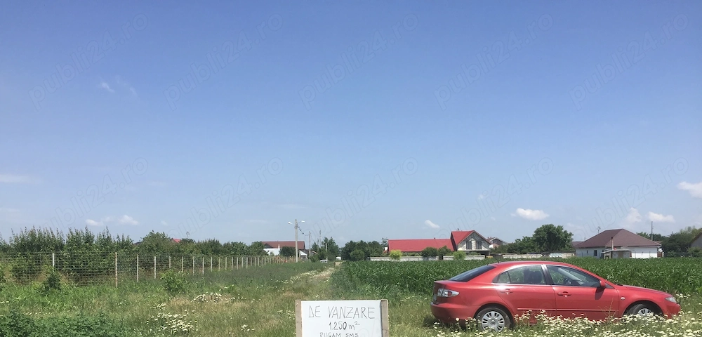 Teren 1250 m intravilan de vânzare - loc. Amara, Jud. Ialomița