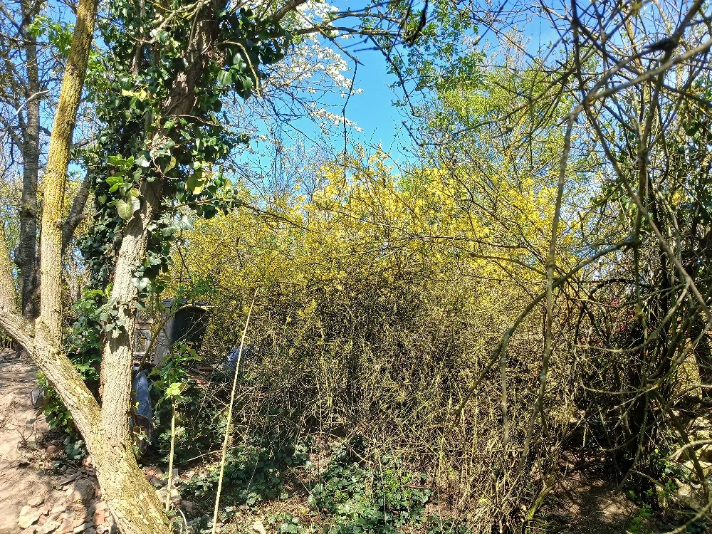 casa din piatra,peisaj superb,exclusiv vacanta 42km de Mangalia