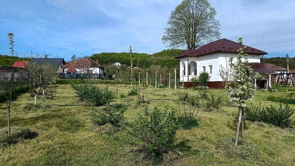 Casă tradițională renovată 
